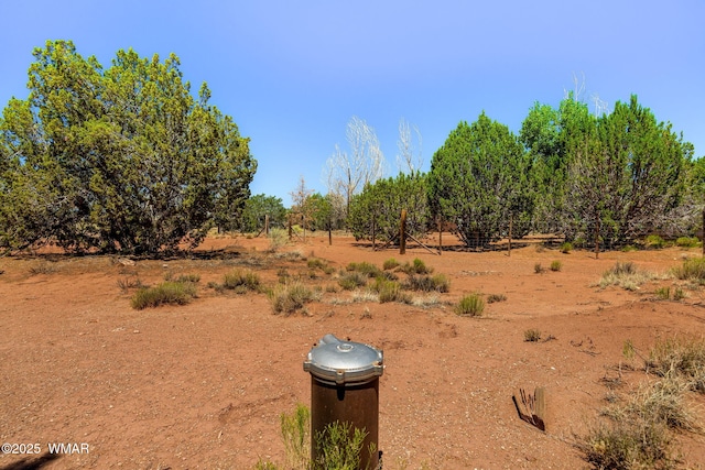 4 N County Road 5501, Concho, AZ 85924 - photo 14