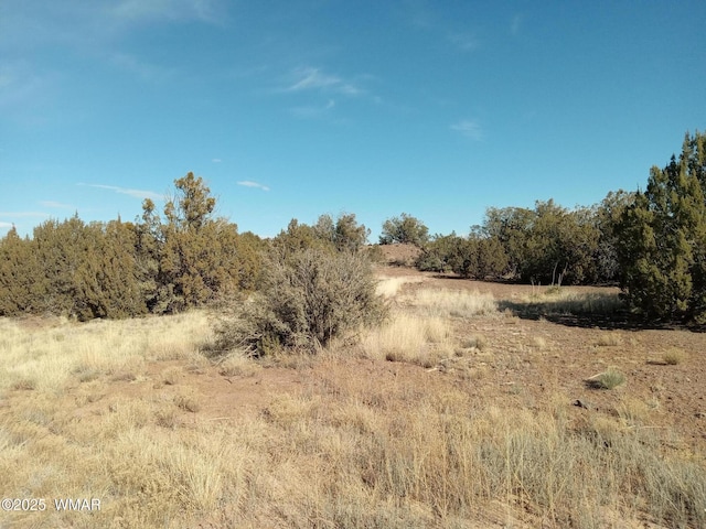 8492 Cannon Blvd, Show Low AZ, 85901 land for sale