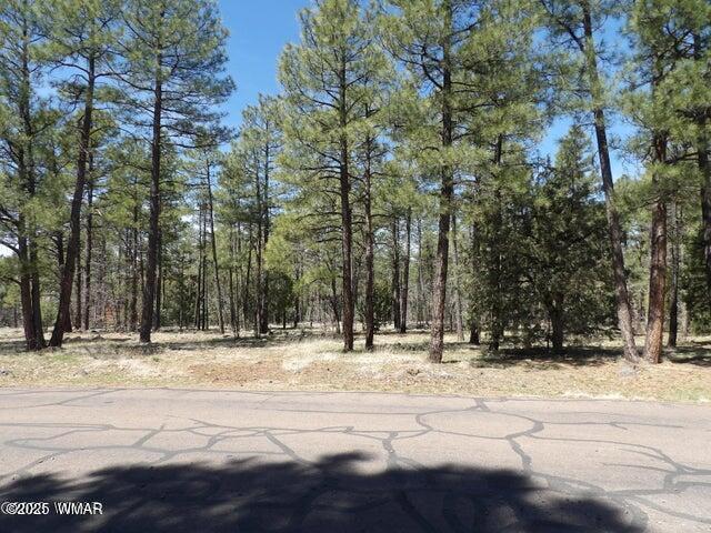922 Pine Creek Dr, Lakeside, AZ 85929