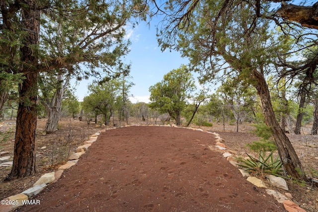 1610 S Canyon Ridge Trl, Show Low, AZ 85901 - view of yard