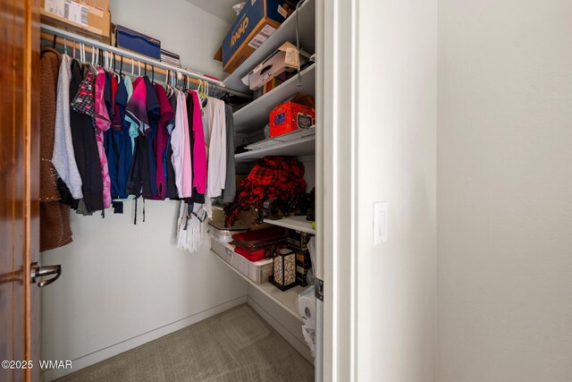 1610 S Canyon Ridge Trl, Show Low, AZ 85901 - spacious closet with carpet floors