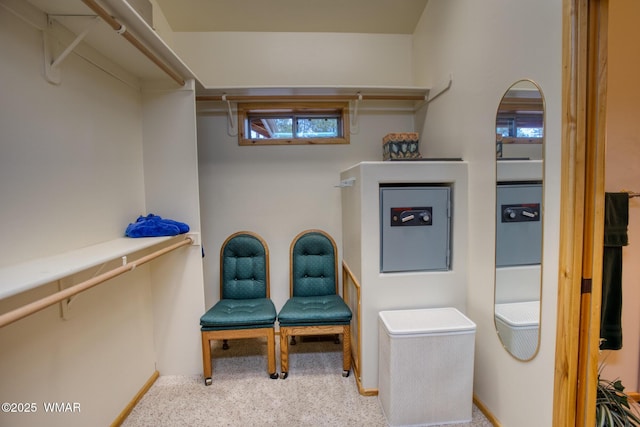 spacious closet with carpet floors