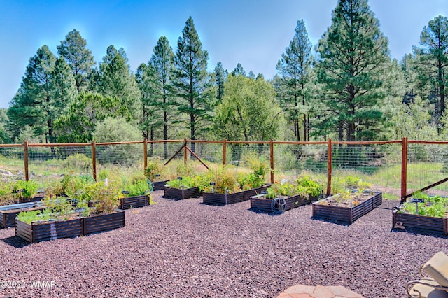 view of yard with fence and a vegetable garden
