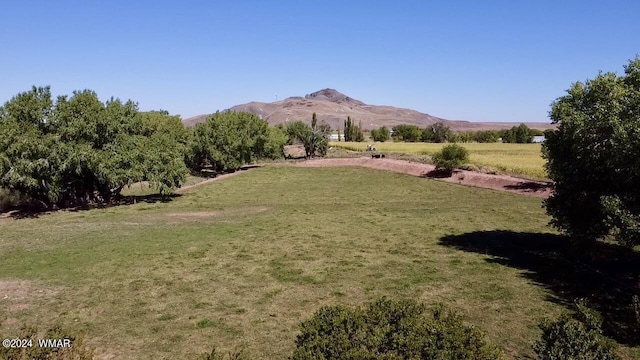 6442 W 1st St, Woodruff, AZ 85942 - photo 28