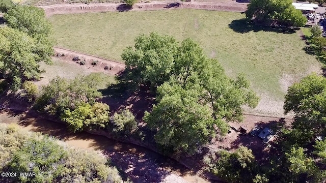 6442 W 1st St, Woodruff, AZ 85942 - photo 30