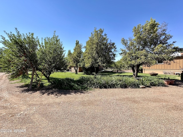 6442 W 1st St, Woodruff, AZ 85942 - photo 27
