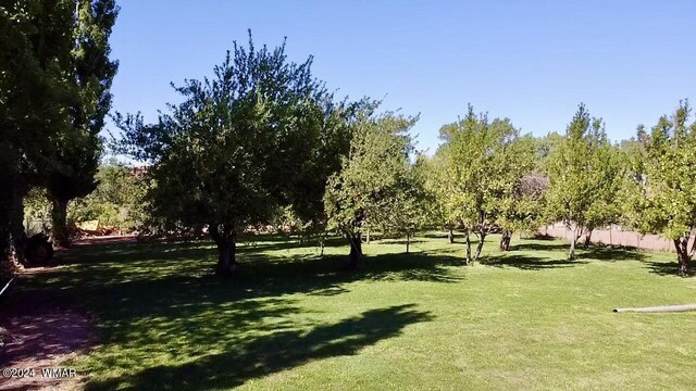 6442 W 1st St, Woodruff, AZ 85942 - photo 25