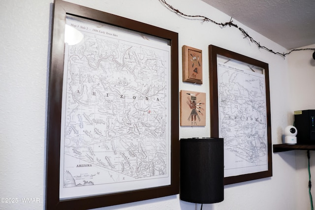 2853 Markham Rd, Overgaard, AZ 85933 - detailed view of a textured ceiling