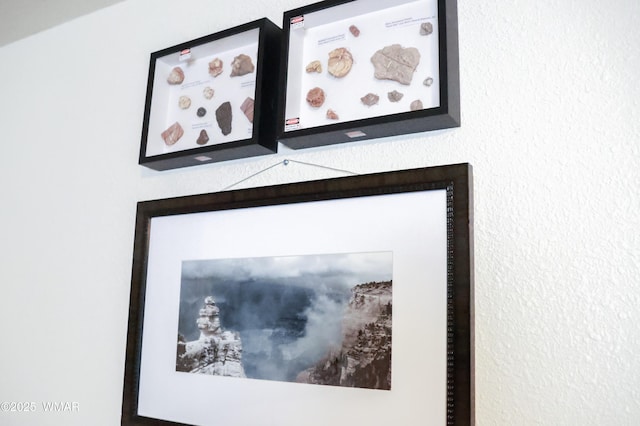 2853 Markham Rd, Overgaard, AZ 85933 - detailed view