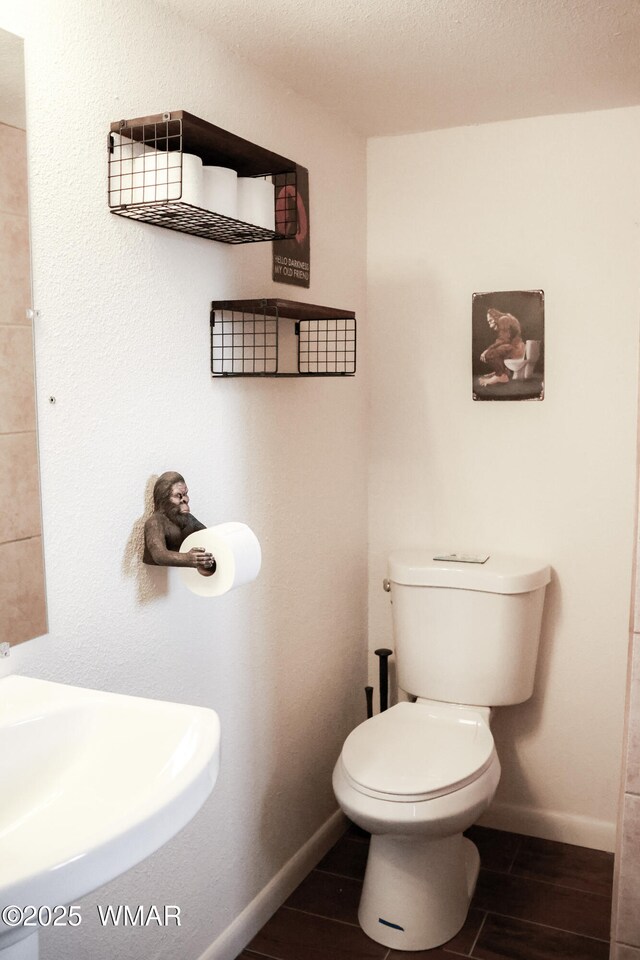 2853 Markham Rd, Overgaard, AZ 85933 - bathroom with a sink, toilet, baseboards, and wood finished floors