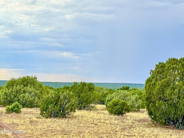 LOTC-2 Silver Lk Unit 8.16, Acres, Show Low AZ, 85901 land for sale