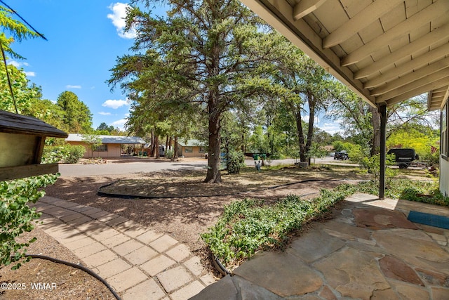 1461 W Oliver, Show Low, AZ 85901 - photo 5