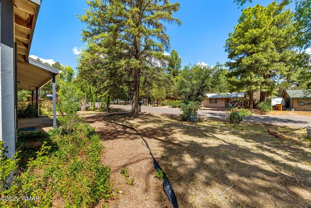 1461 W Oliver, Show Low, AZ 85901 - photo 4