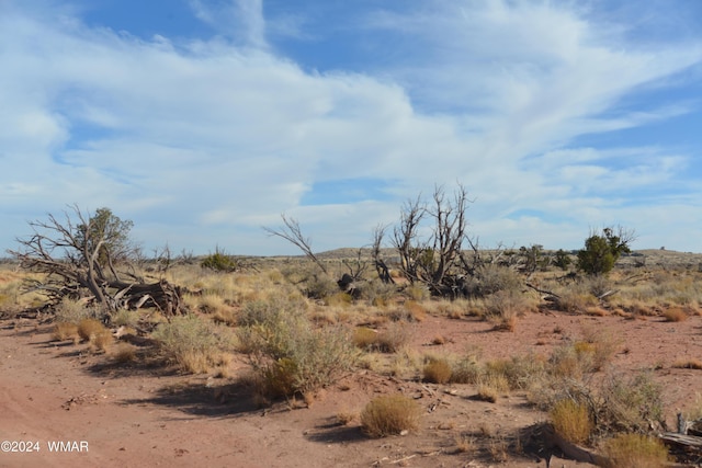 8272 Charolais Trl, Snowflake AZ, 85937 land for sale