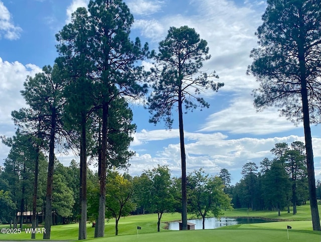 7287 Moon Creek Cir, Pinetop, AZ 85935 - view of property's community featuring a water view, golf course view, a yard, and view of scattered trees