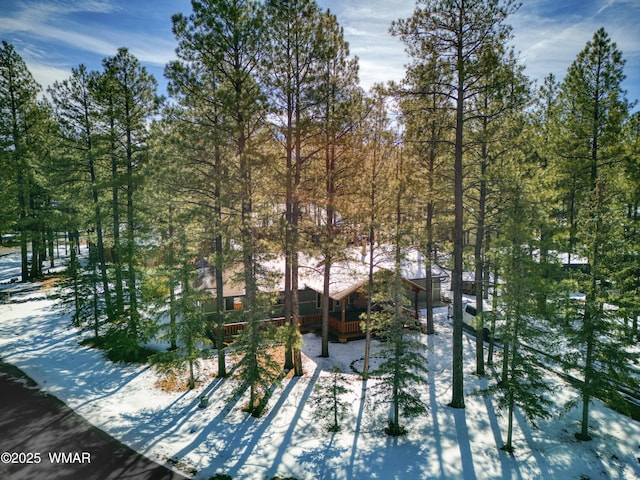 7287 Moon Creek Cir, Pinetop, AZ 85935 - view of snow covered exterior