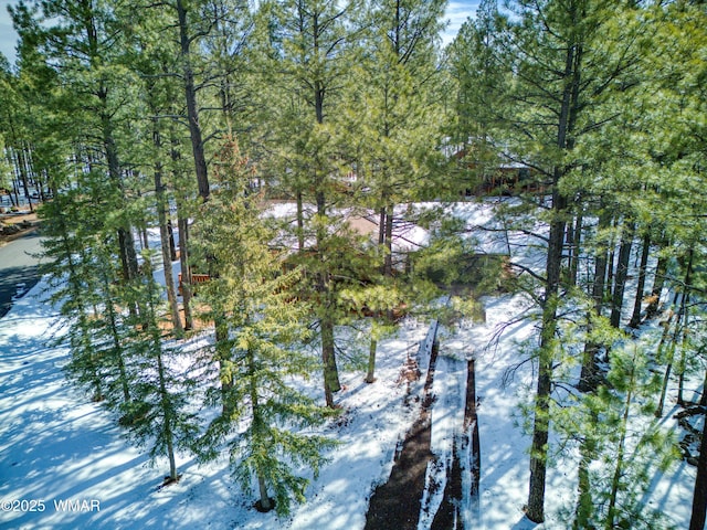 7287 Moon Creek Cir, Pinetop, AZ 85935 - view of dock area