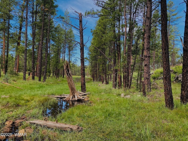 7287 Moon Creek Cir, Pinetop, AZ 85935 - view of yard with a view of trees