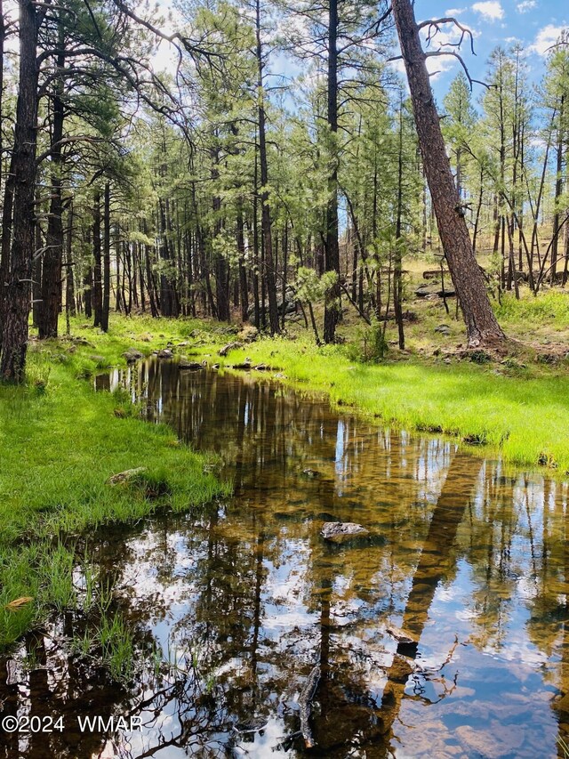 property view of water featuring a forest view