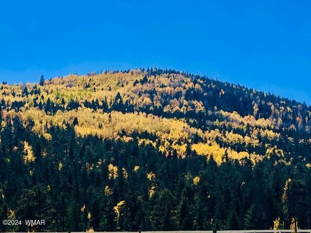 view of mountain feature with a wooded view