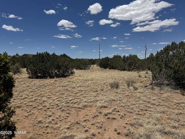 8507 Ossendorf Pl, Show Low, AZ 85901 - photo 7