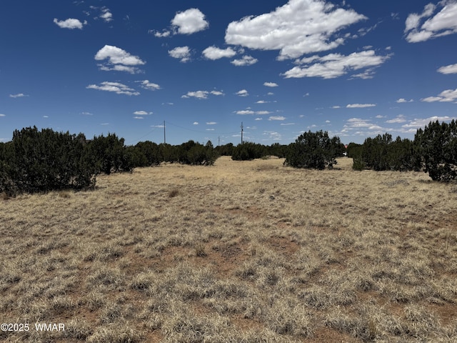 8507 Ossendorf Pl, Show Low, AZ 85901 - photo 1