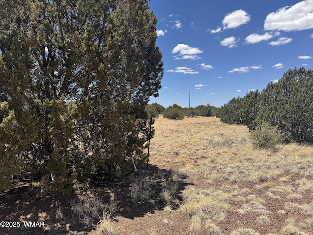 8507 Ossendorf Pl, Show Low, AZ 85901 - photo 3