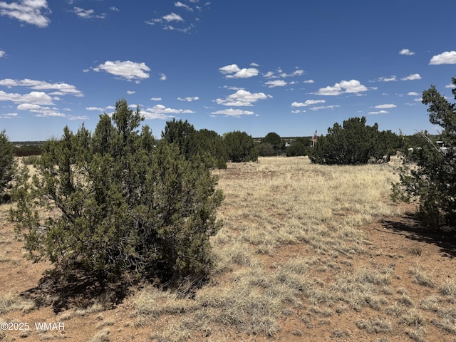 8507 Ossendorf Pl, Show Low, AZ 85901 - photo 8