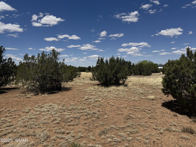 8507 Ossendorf Pl, Show Low, AZ 85901 - photo 6
