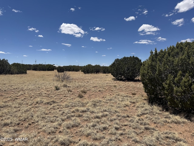8507 Ossendorf Pl, Show Low, AZ 85901 - photo 5