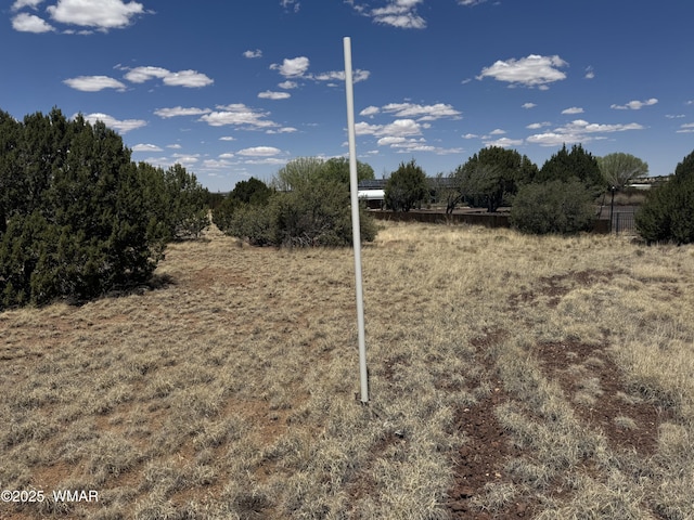 8507 Ossendorf Pl, Show Low, AZ 85901 - photo 9