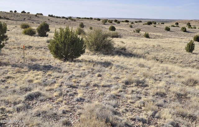 23F Powerline Rd, Taylor, AZ 85939 - photo 6