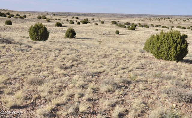 23F Powerline Rd, Taylor, AZ 85939 - photo 5