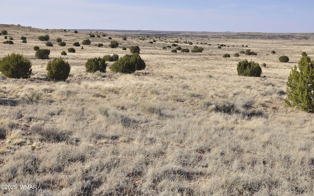 23F Powerline Rd, Taylor, AZ 85939 - photo 2