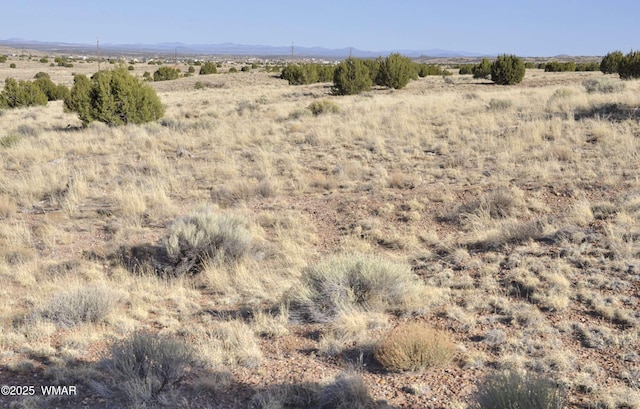 23F Powerline Rd, Taylor, AZ 85939 - photo 1