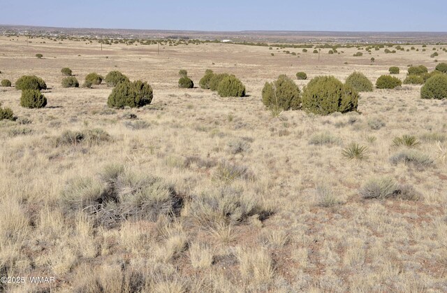 23F Powerline Rd, Taylor, AZ 85939 - photo 3