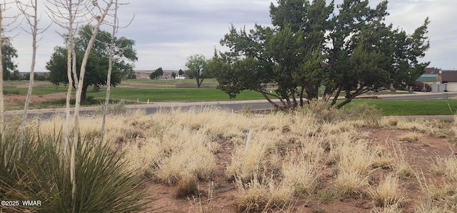 2642 Foothill Cir, Snowflake, AZ 85937