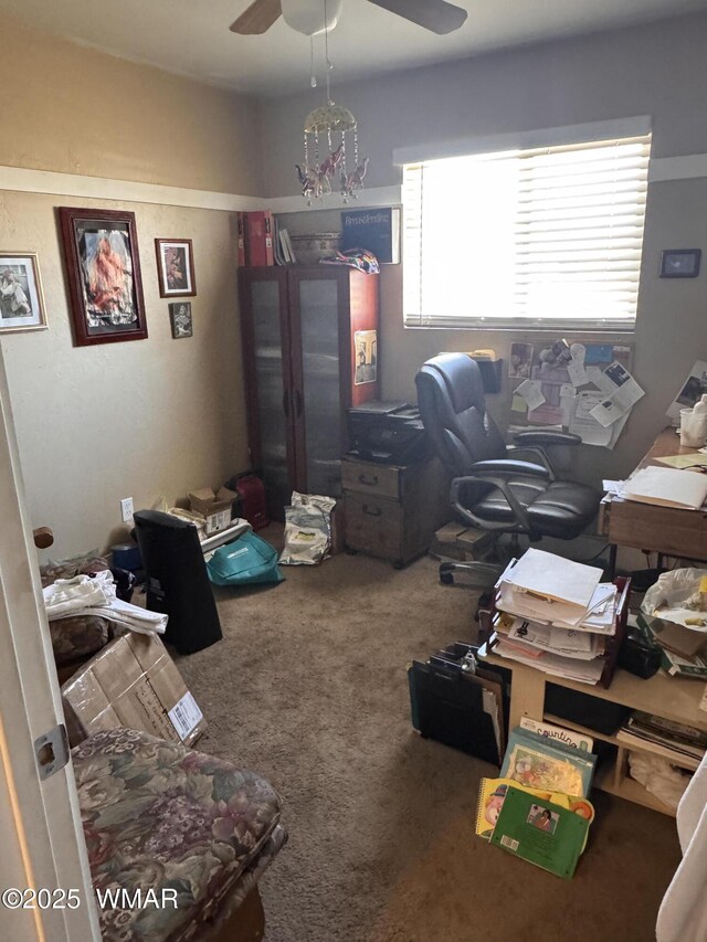 461 W Center St, Snowflake, AZ 85937 - photo 21