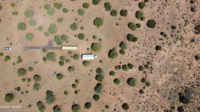 4178 Indian Bend Rd, Snowflake, AZ 85937 - photo 9
