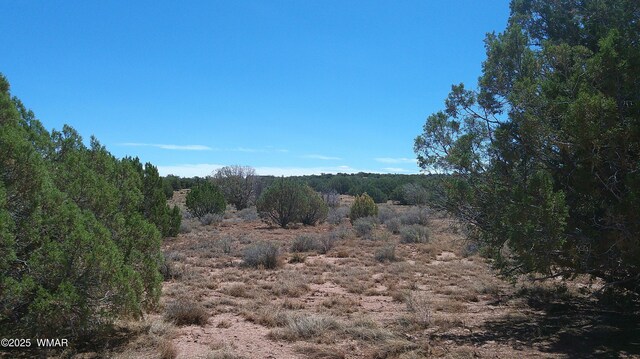 4178 Indian Bend Rd, Snowflake, AZ 85937 - photo 23