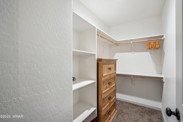 3457 Carefree Rd, Heber, AZ 85928 - spacious closet with dark colored carpet