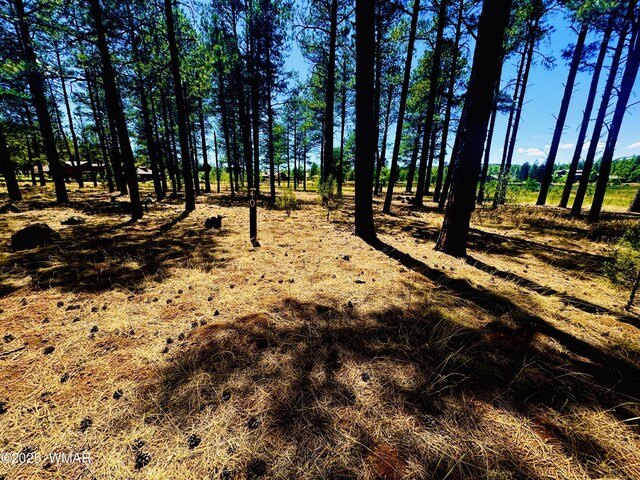 9578 Sierra Springs Dr, Pinetop, AZ 85935 - photo 2