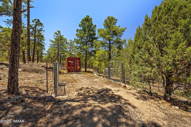 1034 Snowy Rock Ridge Dr, Show Low, AZ 85901 - photo 40