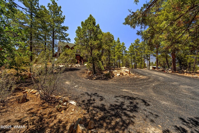 1034 Snowy Rock Ridge Dr, Show Low, AZ 85901 - photo 3