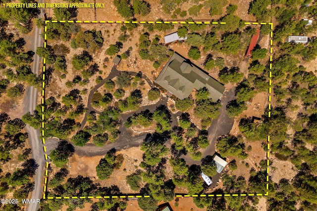 1034 Snowy Rock Ridge Dr, Show Low, AZ 85901 - photo 47