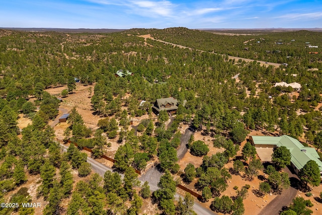 1034 Snowy Rock Ridge Dr, Show Low, AZ 85901 - photo 46