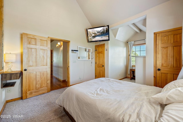 1034 Snowy Rock Ridge Dr, Show Low, AZ 85901 - photo 24