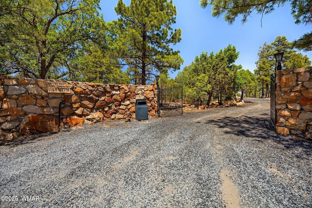1034 Snowy Rock Ridge Dr, Show Low, AZ 85901 - photo 41