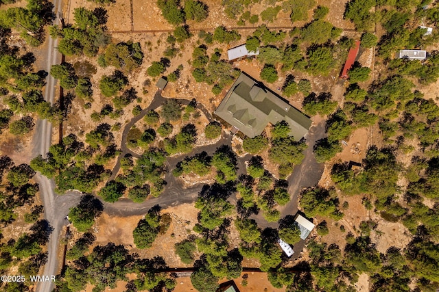 1034 Snowy Rock Ridge Dr, Show Low, AZ 85901 - photo 45