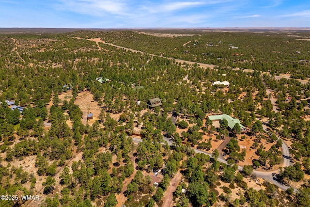 1034 Snowy Rock Ridge Dr, Show Low, AZ 85901 - photo 44